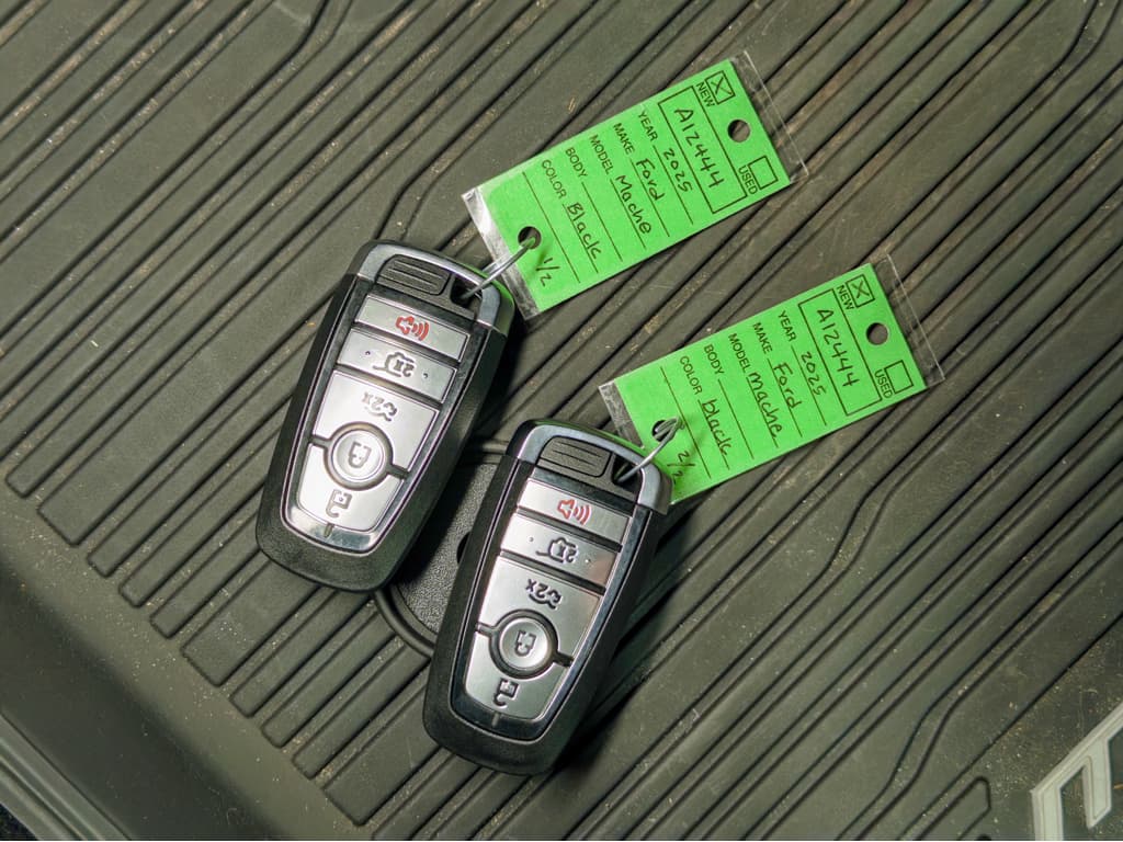 2025 Ford Mustang Mach-E view 23