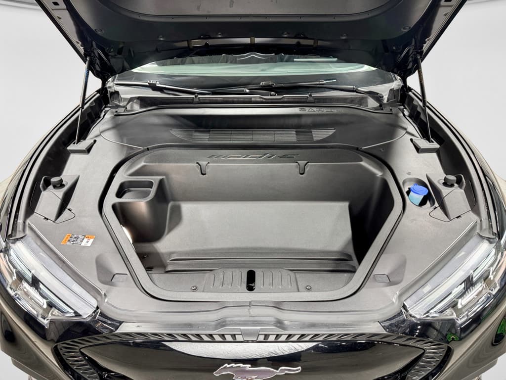 2025 Ford Mustang Mach-E view 25