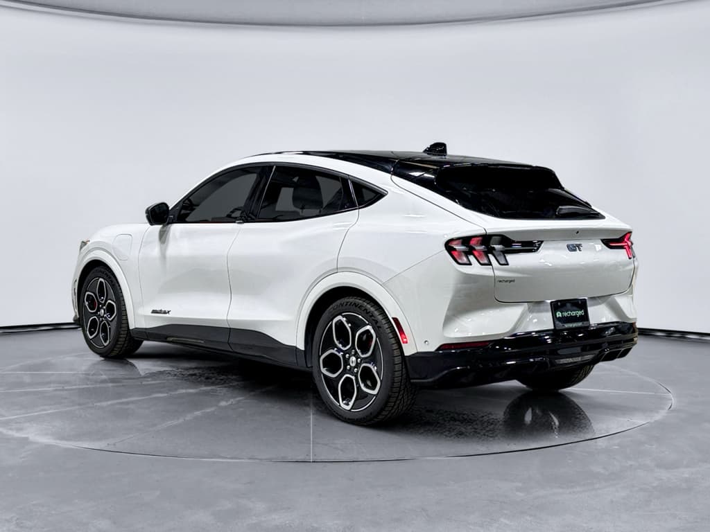 2023 Ford Mustang Mach-E view 2