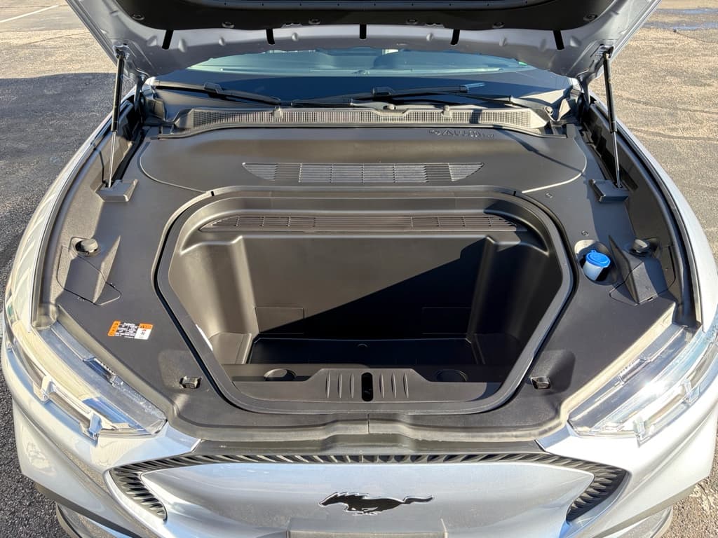 2022 Ford Mustang Mach-E view 25