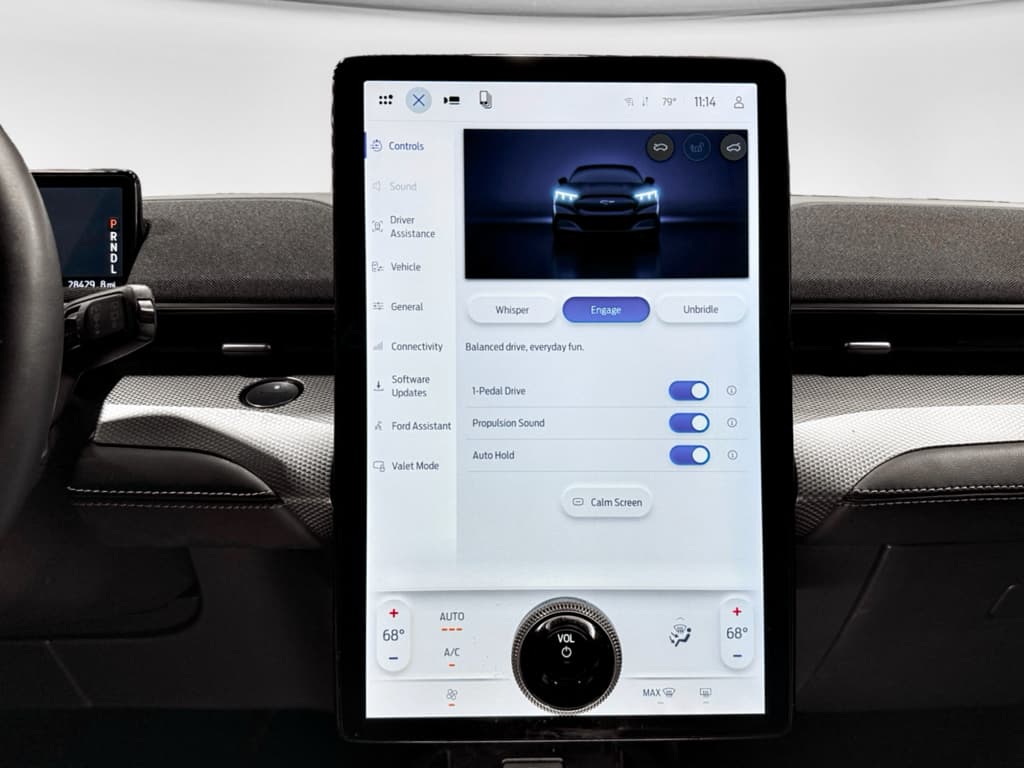 2022 Ford Mustang Mach-E view 12