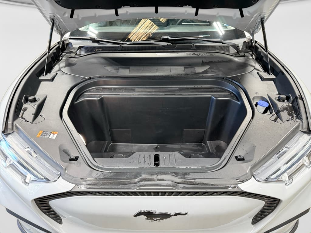 2022 Ford Mustang Mach-E view 26