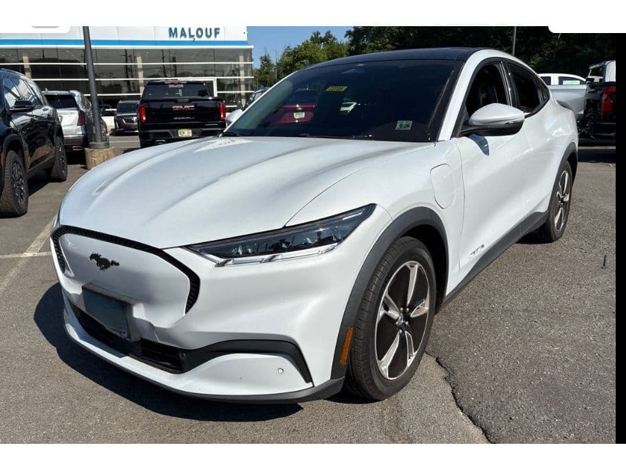 2021 Ford Mustang Mach-E view 1