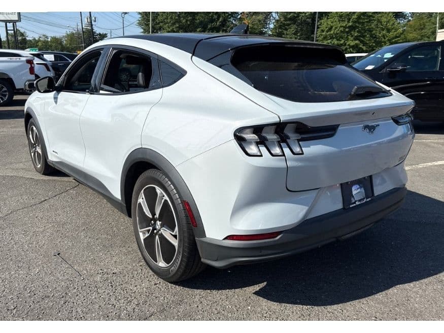 2021 Ford Mustang Mach-E view 4