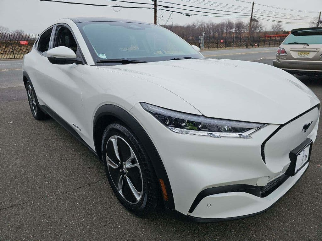 2021 Ford Mustang Mach-E view 2