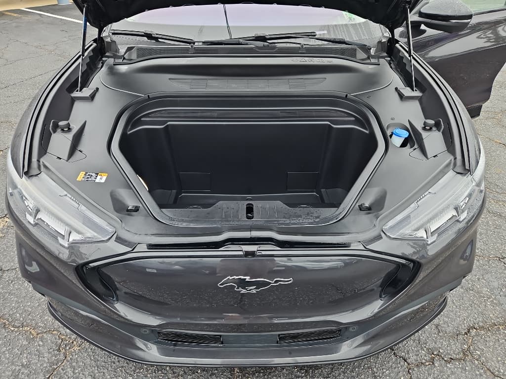 2022 Ford Mustang Mach-E view 27