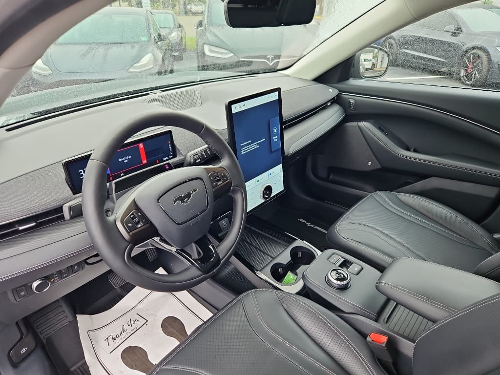 2022 Ford Mustang Mach-E view 14