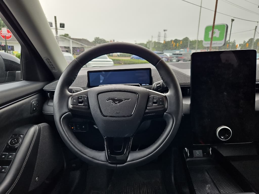 2022 Ford Mustang Mach-E view 8