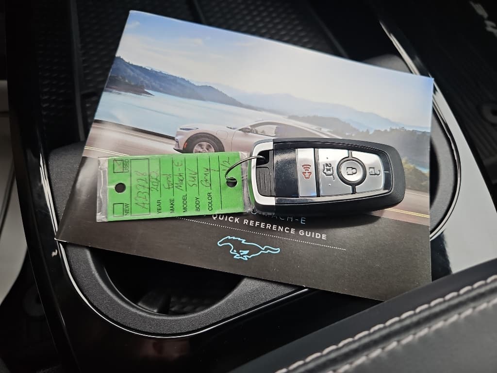 2022 Ford Mustang Mach-E view 35