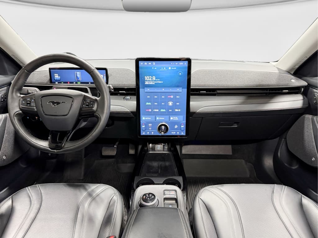 2021 Ford Mustang Mach-E view 18