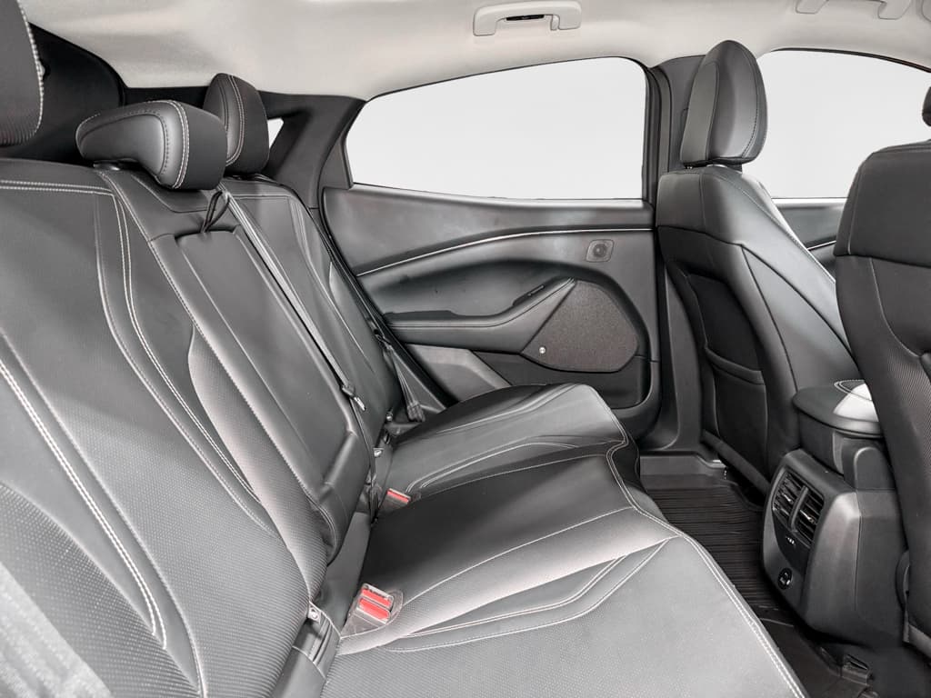 2021 Ford Mustang Mach-E view 24