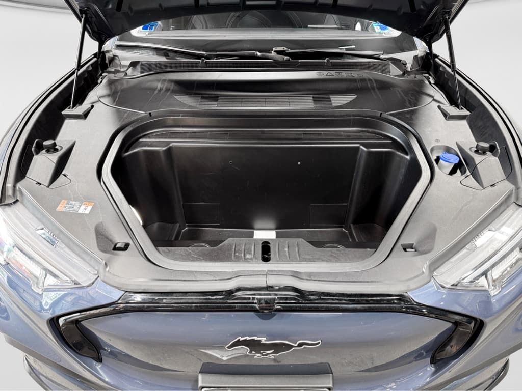 2021 Ford Mustang Mach-E view 27