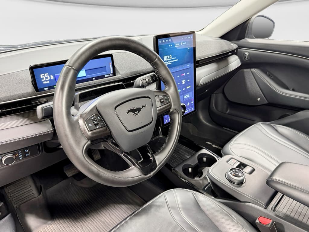 2021 Ford Mustang Mach-E view 20
