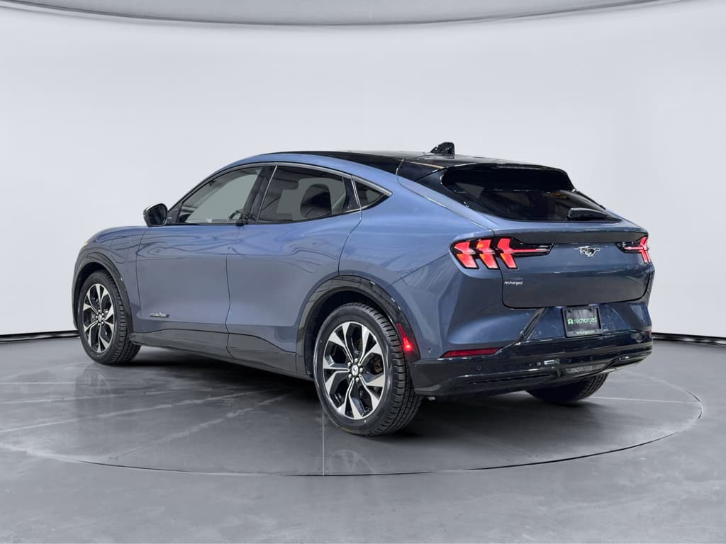 2021 Ford Mustang Mach-E view 2