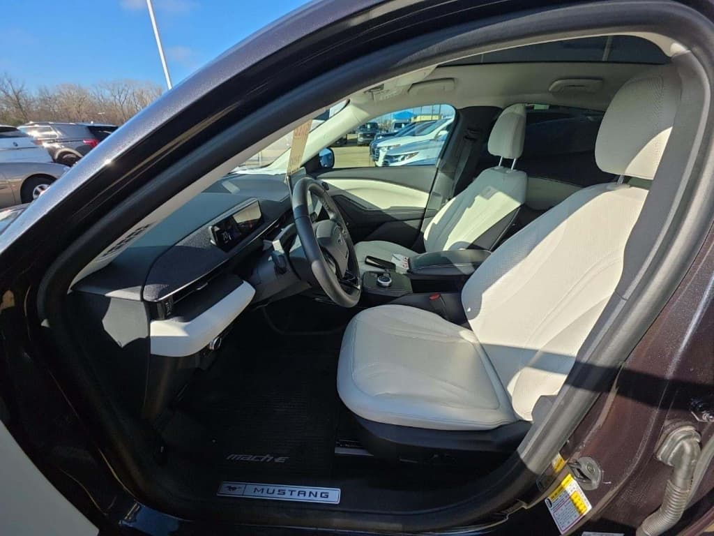 2022 Ford Mustang Mach-E view 4