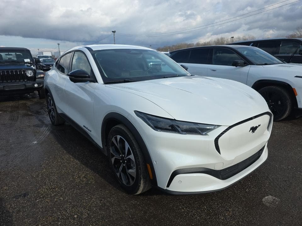 2024 Ford Mustang Mach-E view 2