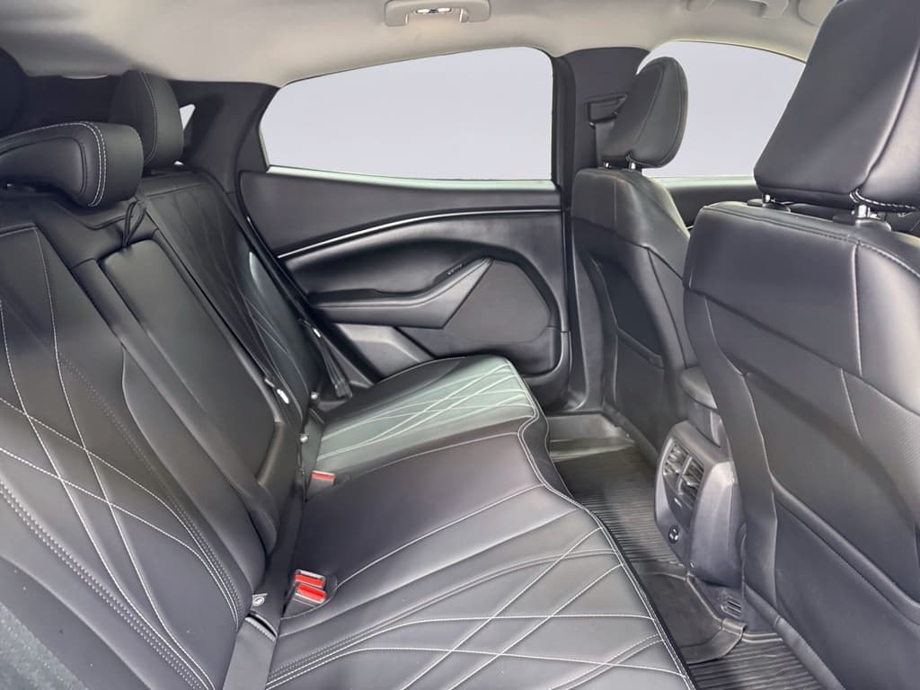 2022 Ford Mustang Mach-E view 22