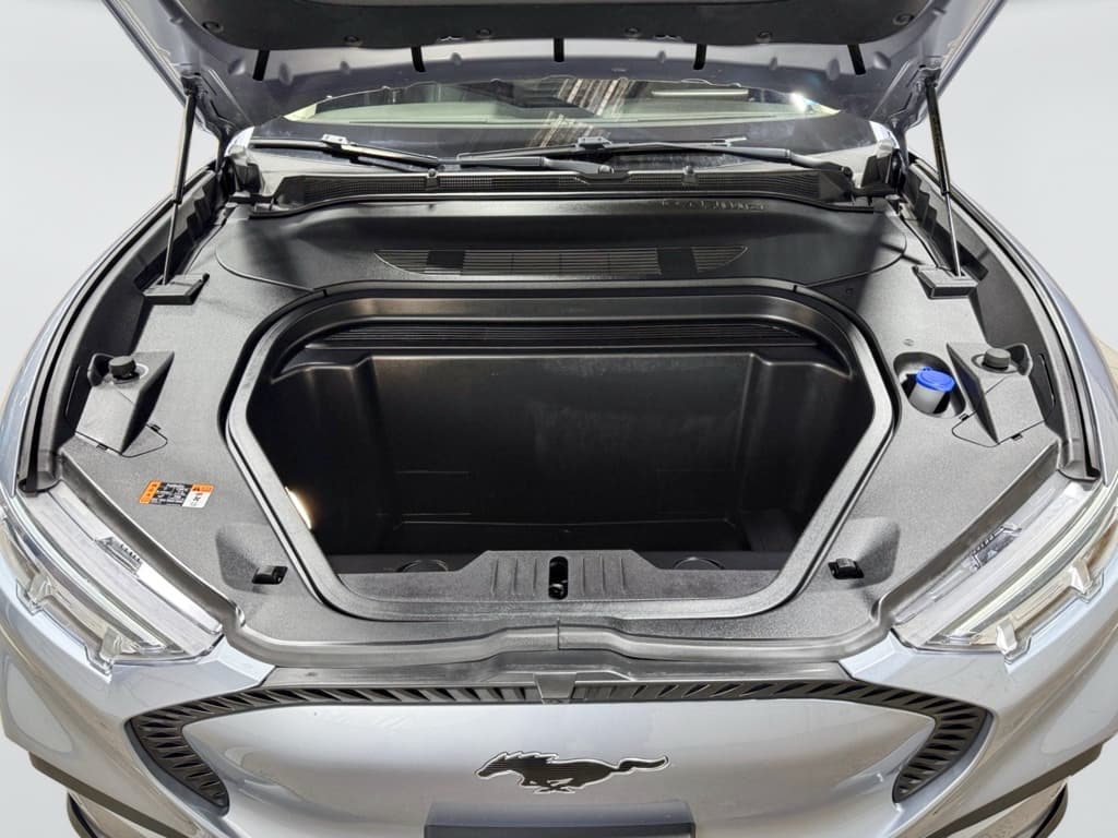 2022 Ford Mustang Mach-E view 25