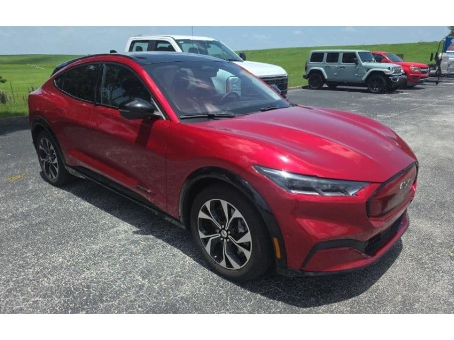 2023 Ford Mustang Mach-E view 2