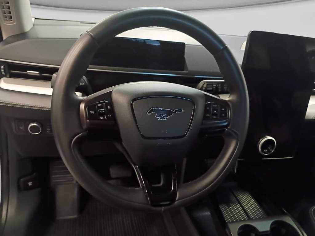 2021 Ford Mustang Mach-E view 6
