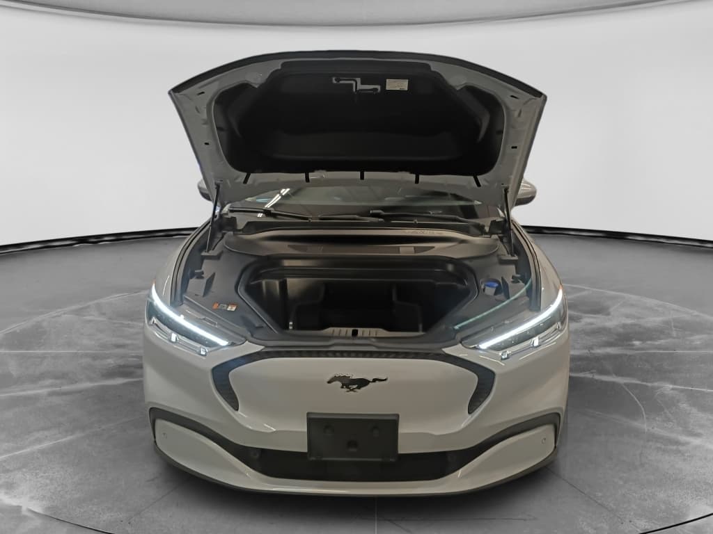 2021 Ford Mustang Mach-E view 8