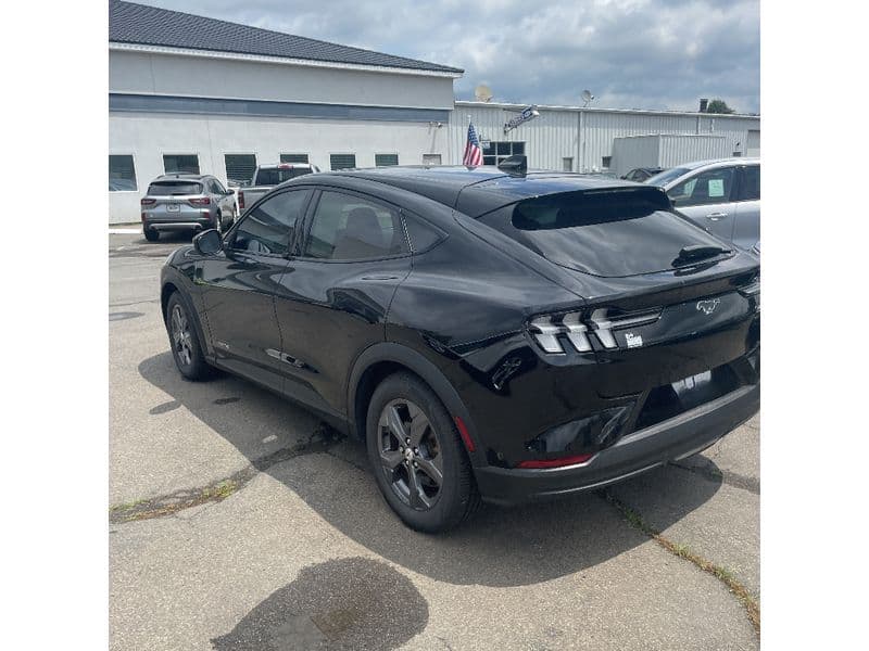 2021 Ford Mustang Mach-E view 2
