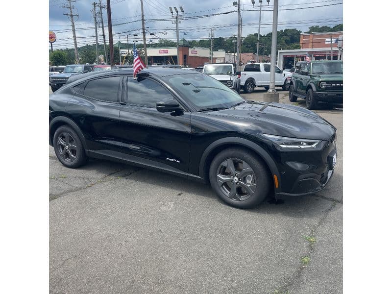 2021 Ford Mustang Mach-E view 4