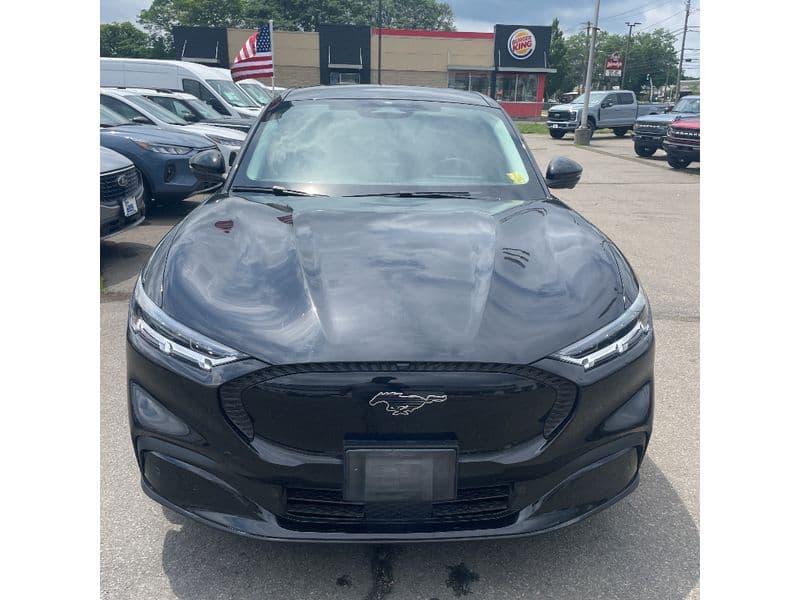2021 Ford Mustang Mach-E view 6