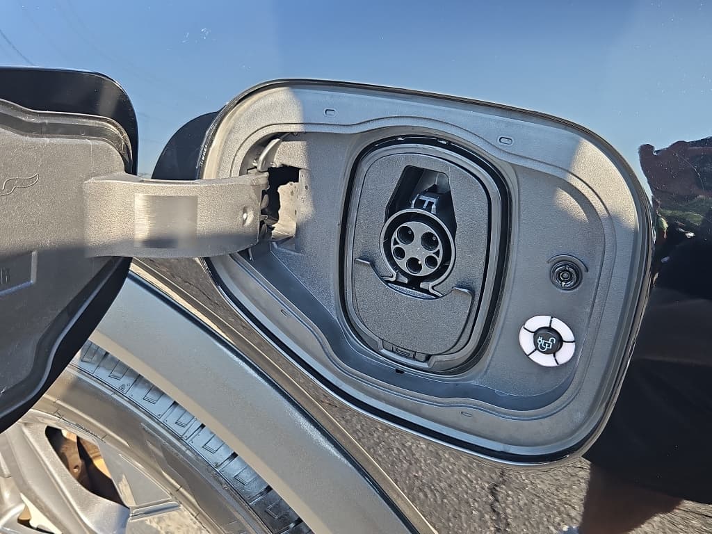 2021 Ford Mustang Mach-E view 6
