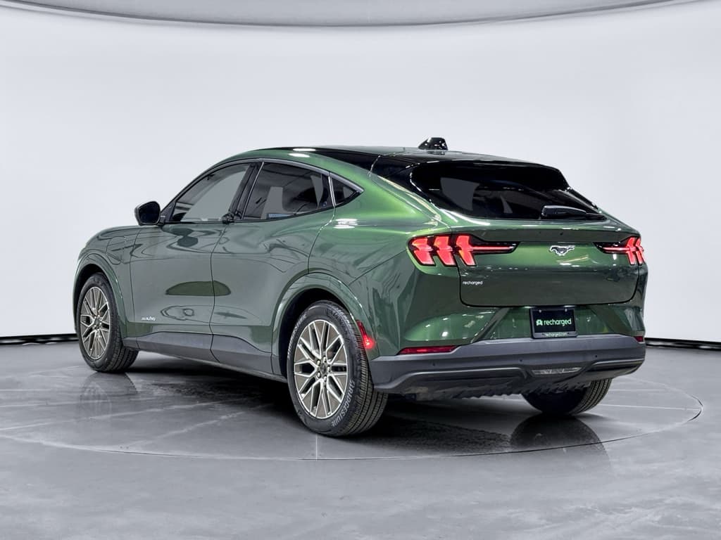 2025 Ford Mustang Mach-E view 2