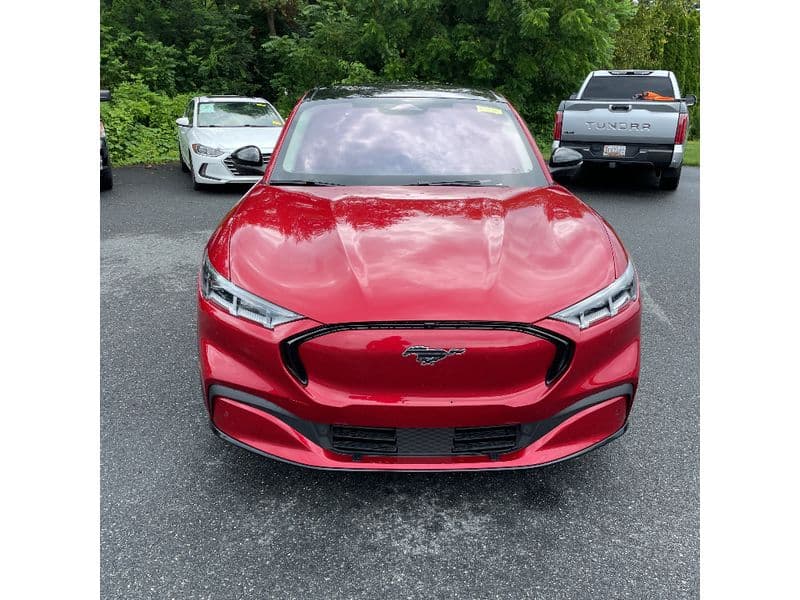 2021 Ford Mustang Mach-E view 6