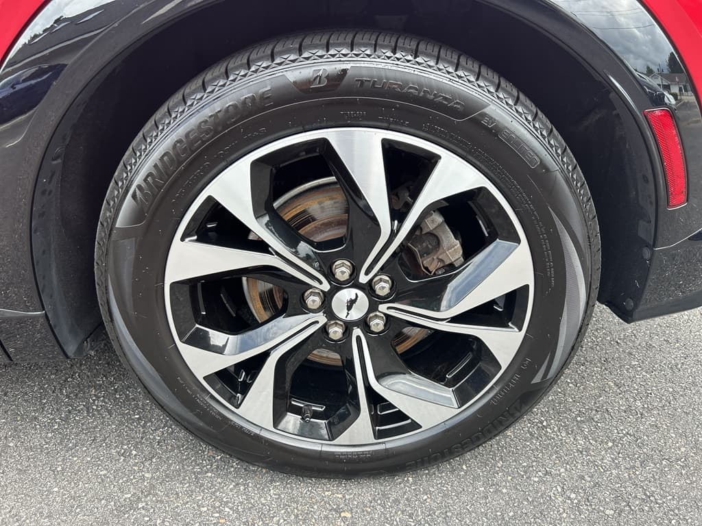 2021 Ford Mustang Mach-E view 30