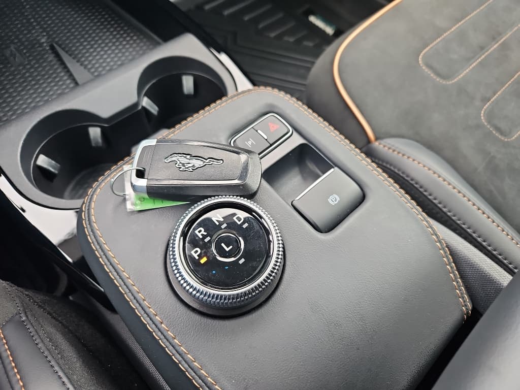 2022 Ford Mustang Mach-E view 19