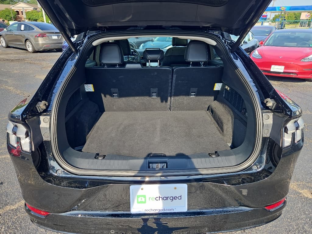 2021 Ford Mustang Mach-E view 14