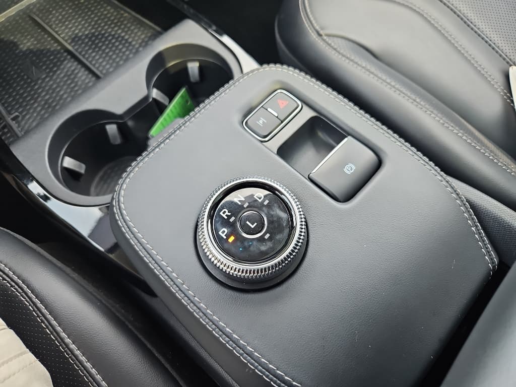 2021 Ford Mustang Mach-E view 17