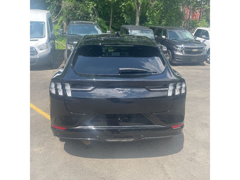 2021 Ford Mustang Mach-E view 4
