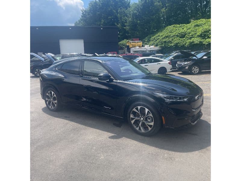 2021 Ford Mustang Mach-E view 6