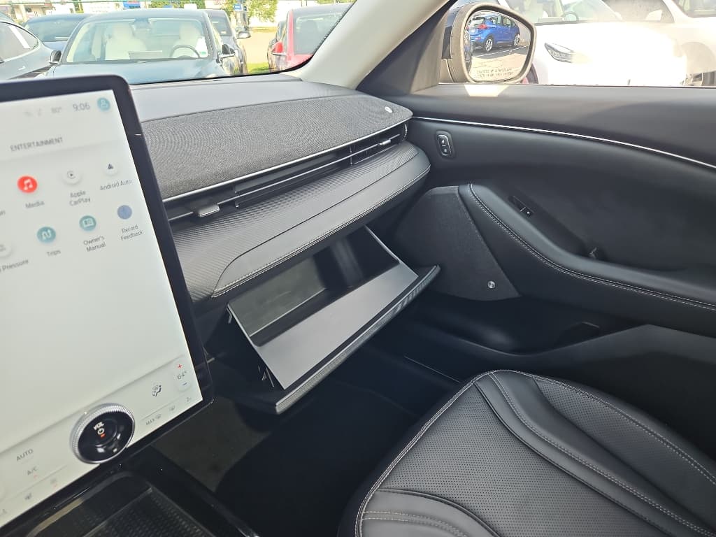 2021 Ford Mustang Mach-E view 18