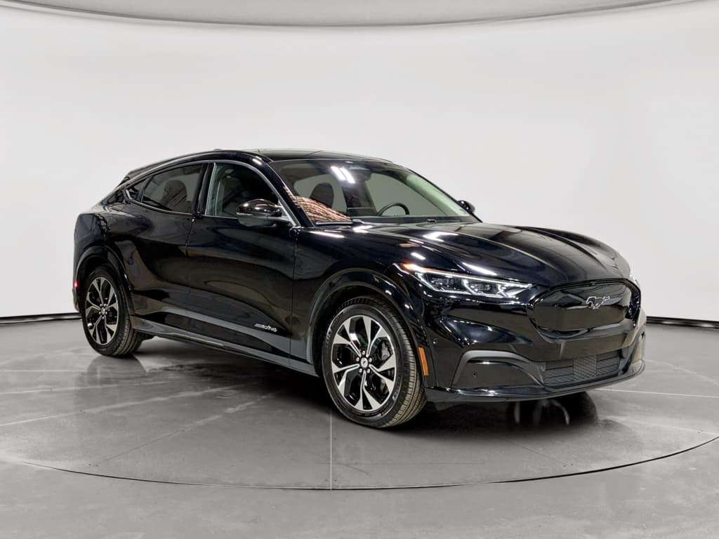 2022 Ford Mustang Mach-E view 4