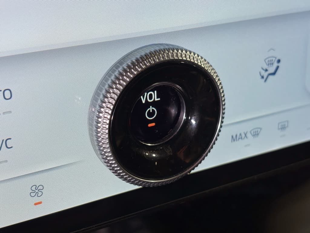 2022 Ford Mustang Mach-E view 15