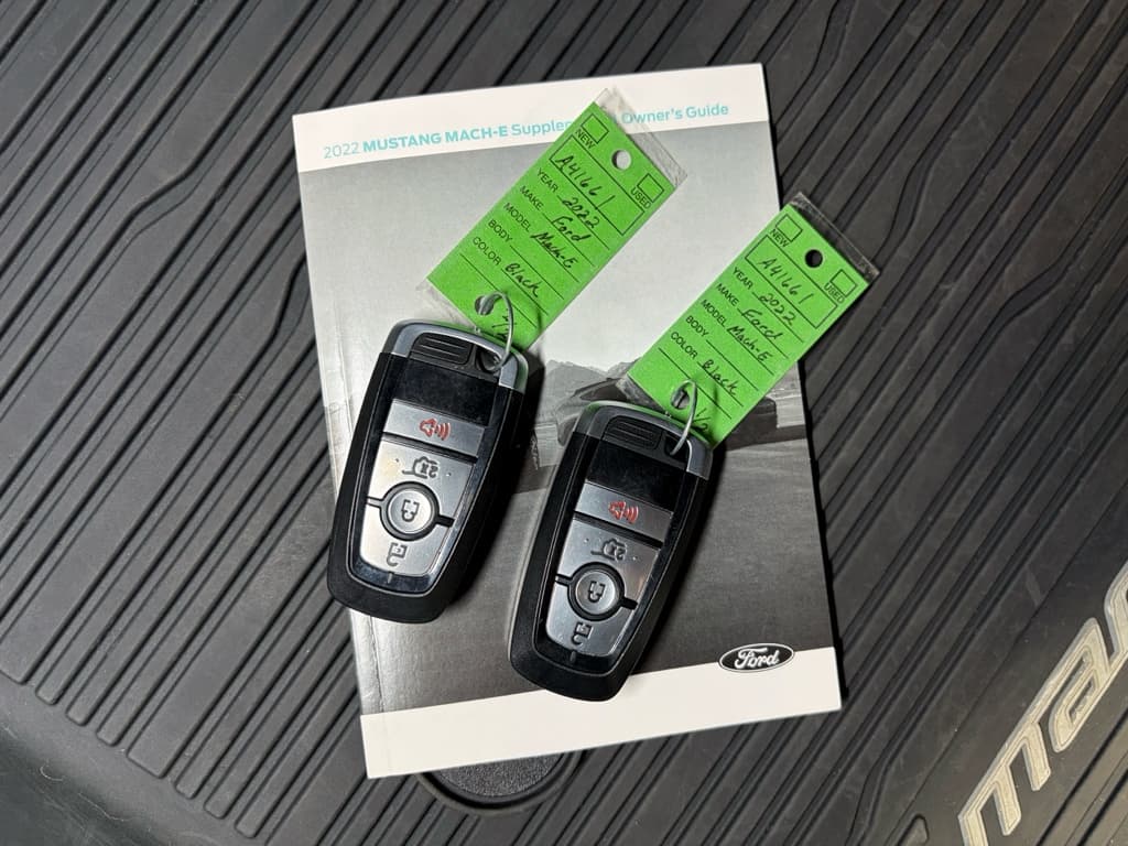 2022 Ford Mustang Mach-E view 22