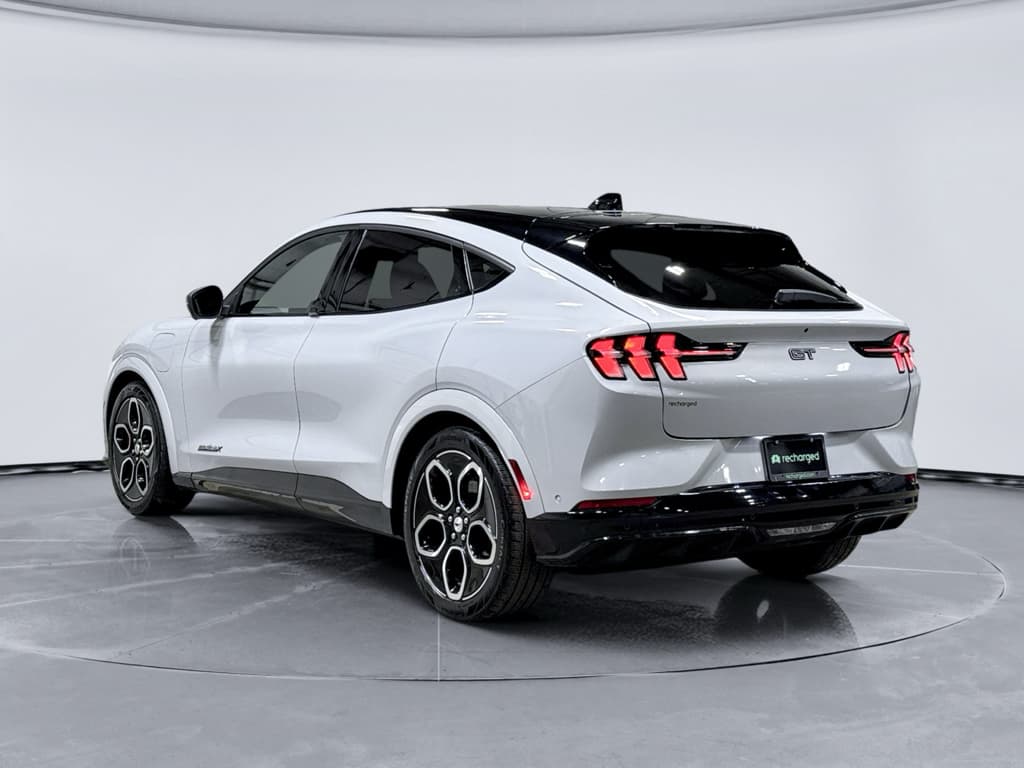 2023 Ford Mustang Mach-E view 2