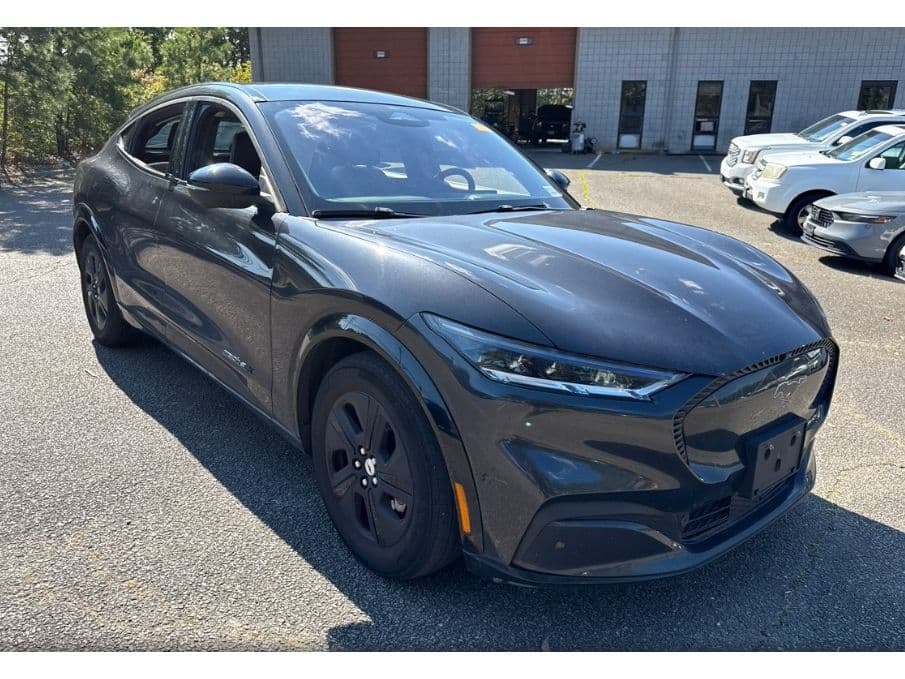 2021 Ford Mustang Mach-E view 2