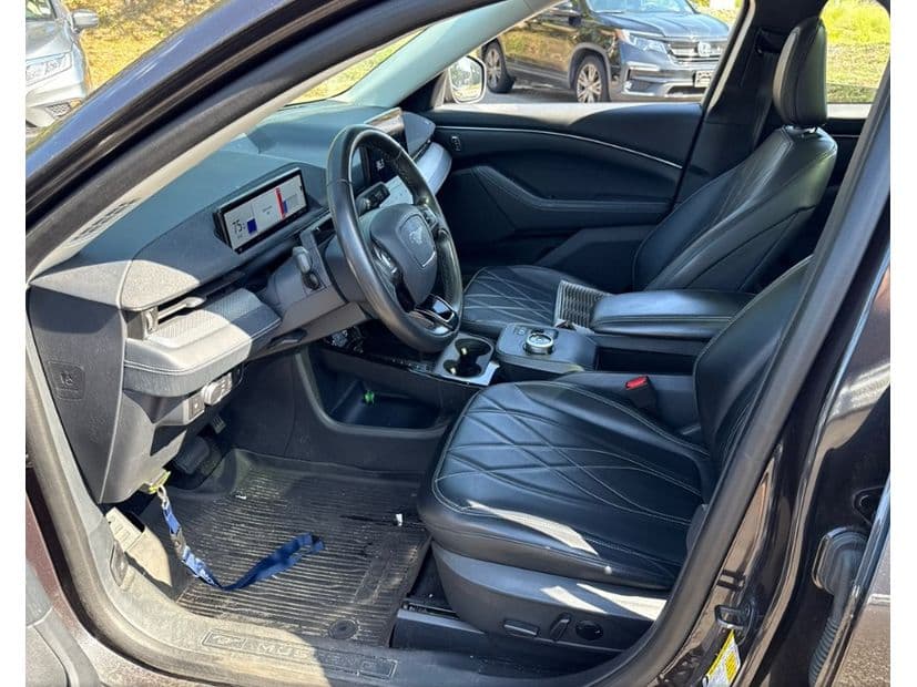2021 Ford Mustang Mach-E view 5