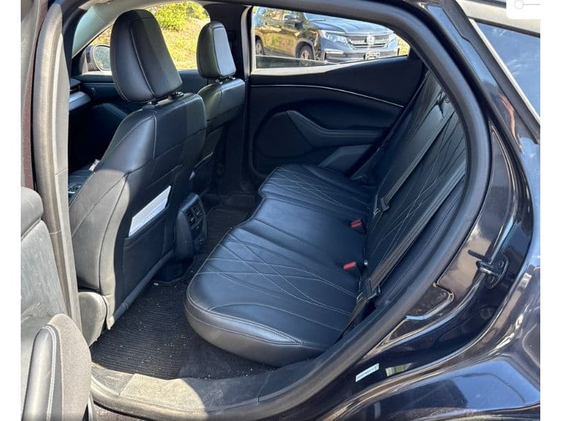2021 Ford Mustang Mach-E view 6