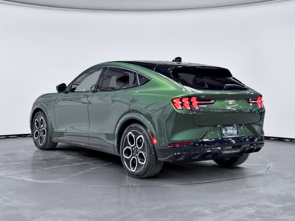 2024 Ford Mustang Mach-E view 2
