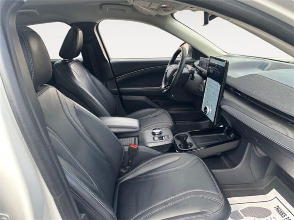 2021 Ford Mustang Mach-E view 12
