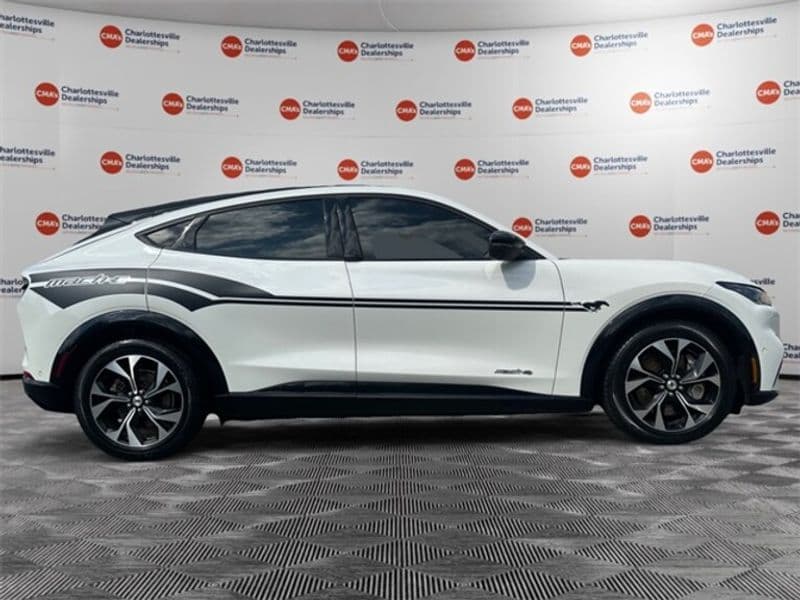 2021 Ford Mustang Mach-E view 3