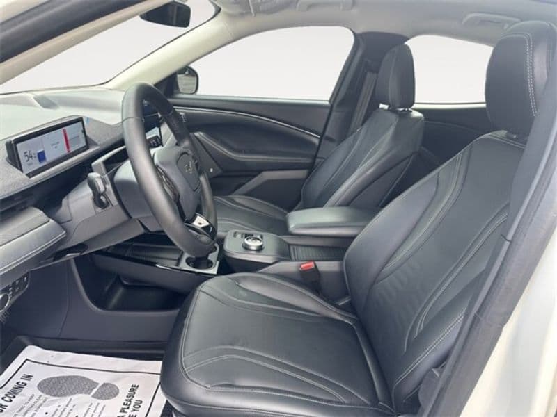 2021 Ford Mustang Mach-E view 10