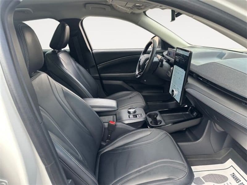 2021 Ford Mustang Mach-E view 12